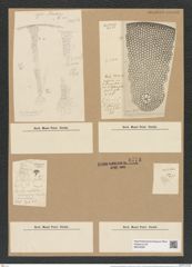 Coscinodiscus asteromphalus var. eximius Grun. (de-Toni-Nr.: Genus 202, Species 5036) Zeichnungen Sammlung Grunow Nr. 8773 (NHMW-BOT-W0378367)